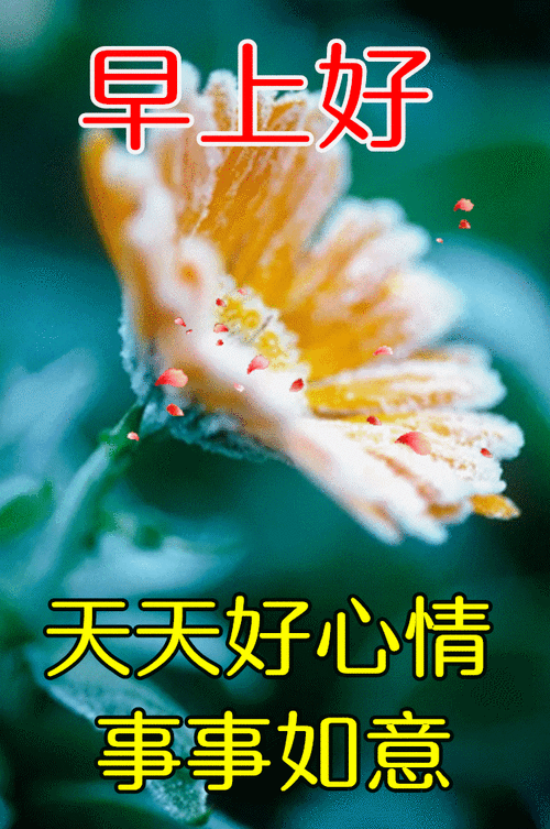 原创2021年4月30日星期五早上好问候祝福动态表情图片