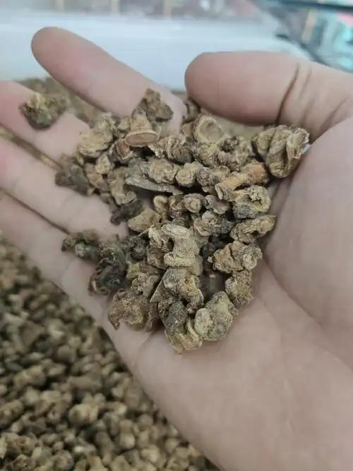 人参芦头 红参头长白山人参头东北特产煲汤泡酒料