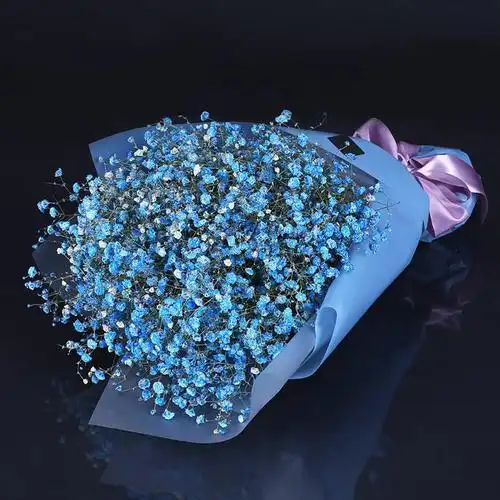 蓝色满天星花语是什么?_酷知经验网