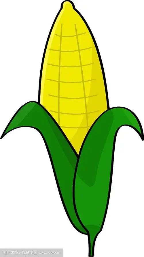 卡通玉米