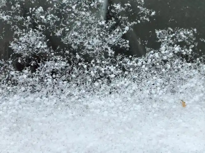 下午4时许,鹅毛大雪纷纷落下,不一会儿,整个城市都被白雪所覆盖