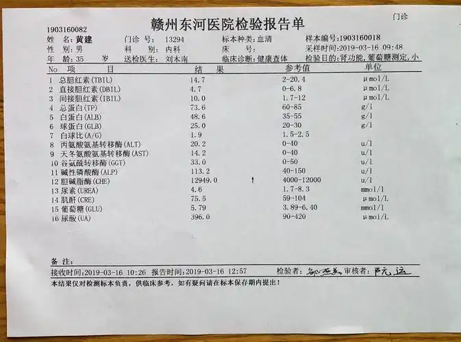 黄建体检报告参数