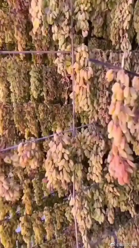 极品大师姐的微博_微博