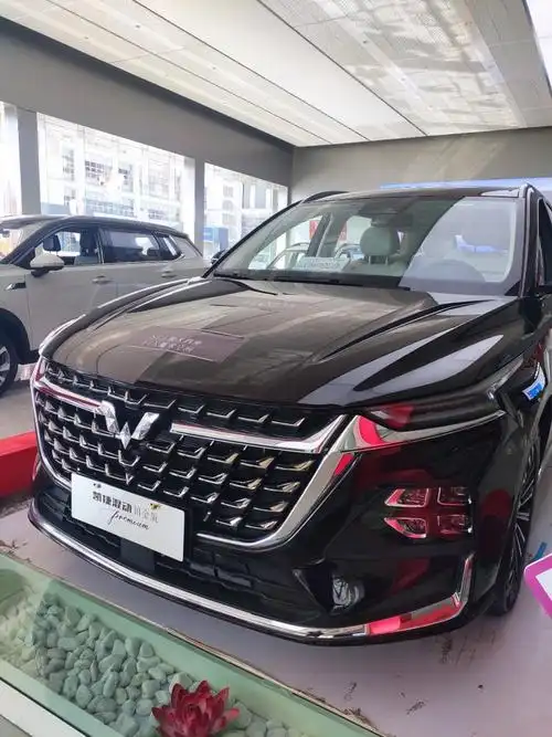 五菱凯捷铂金版