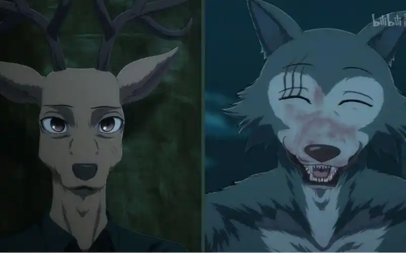 动物狂想曲beastarsx狼鹿雷格西的这双獠牙解开了我