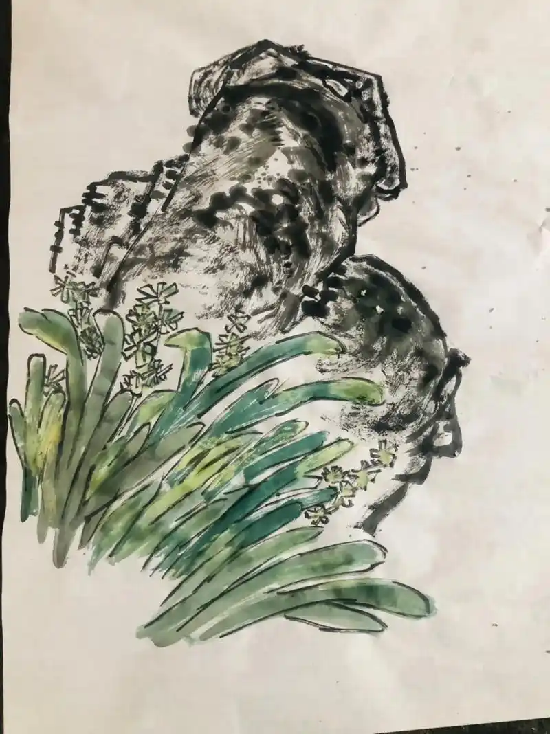 牡丹,石头,水仙组合,丰富生动画面 - 抖音