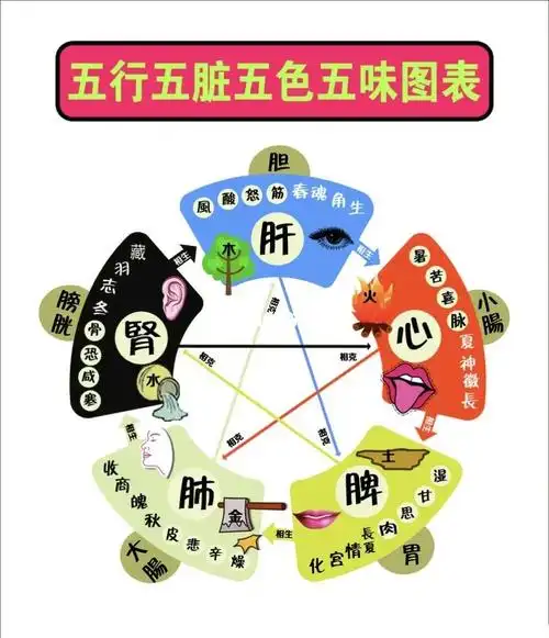 五行五脏相生相克