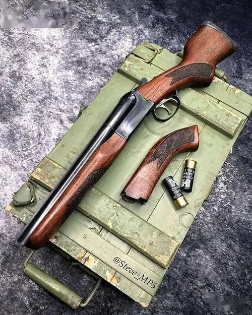 【不忘经典 拥抱未来】国外枪迷摄影佳作欣赏