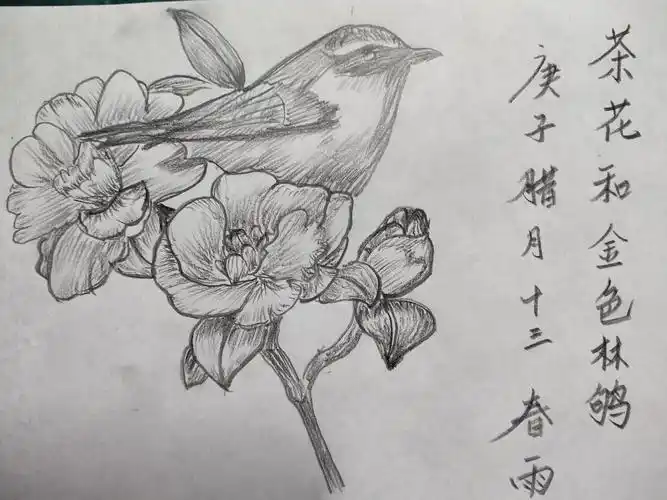 鸟与花香(88种经典黑白花鸟绘)