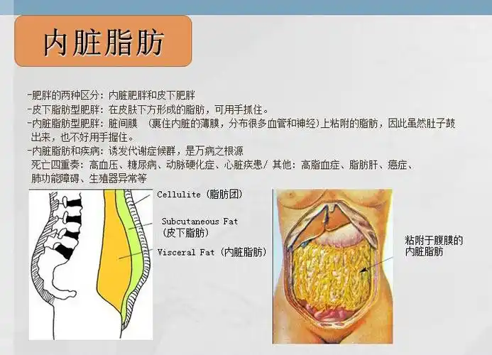 胸小可以腰粗要命