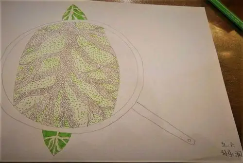 微焦之下彰显美——五年级美术第二周空中课堂《微观世界》作品集