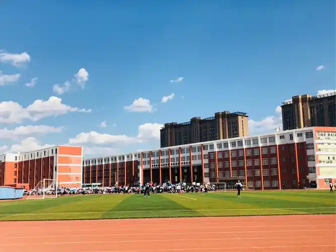 锡林浩特市第六中学秋季运动会之高二(20)班