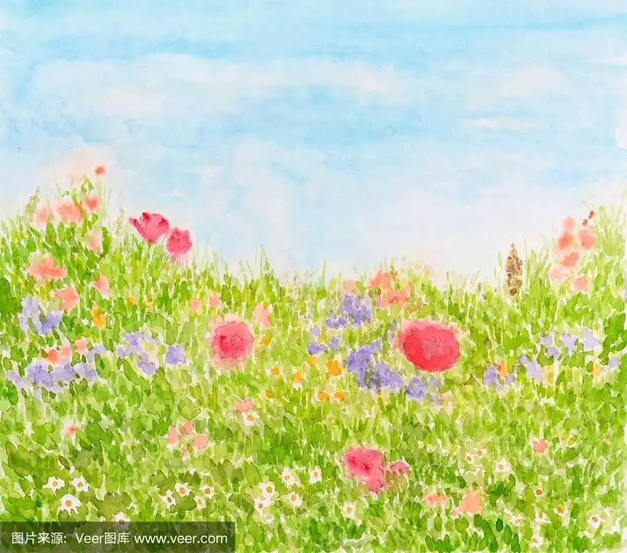 夏日鲜花在日光草地,水彩画