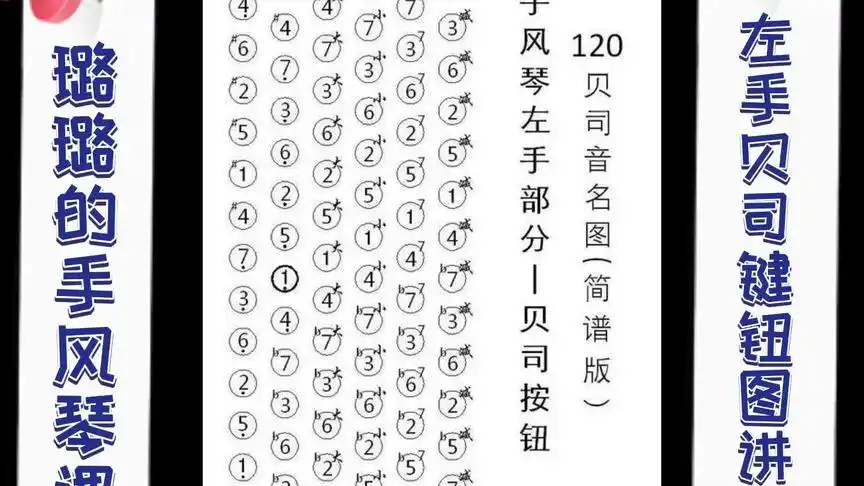 手风琴左手贝司键钮图讲解