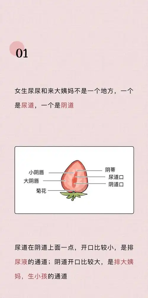 女生须知:关于阴道,你必须知道的12个正经小知识|妇科炎症|分泌物|乳