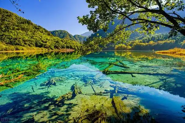 chatgpt:中国最美的10个自然风景,按顺序排名