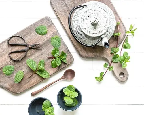 mint tea is soothing and refreshing, and if you can use fresh
