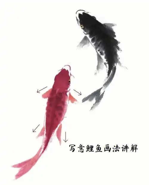 国画教学写意荷花鲤鱼创作步骤