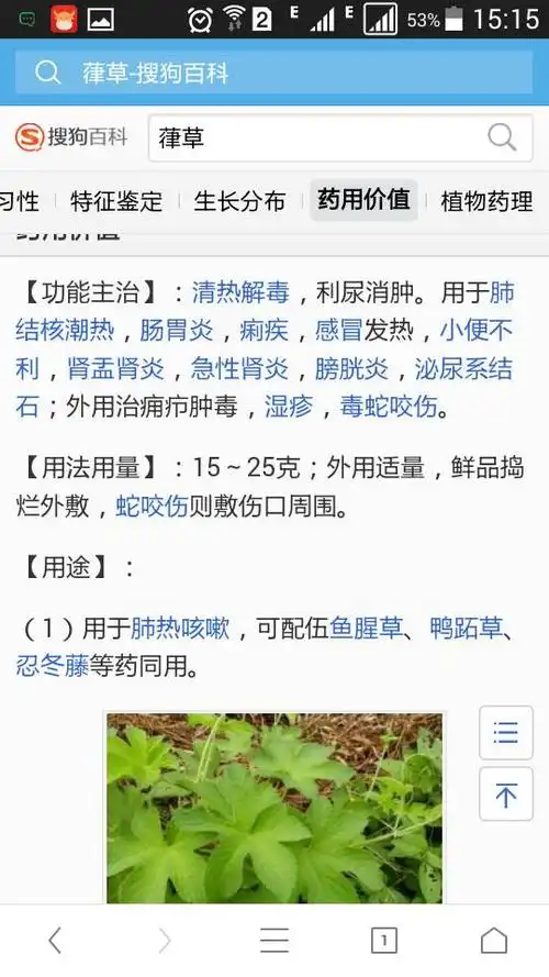 有什么药用价值?