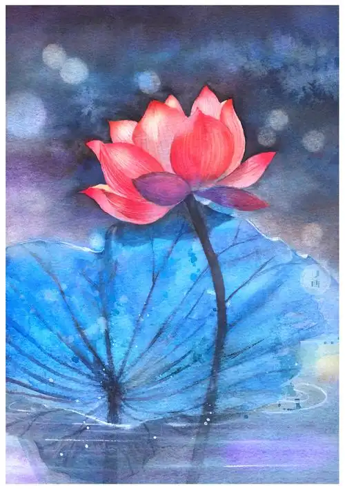 水彩花卉冷暖色调荷花绘画步骤分享