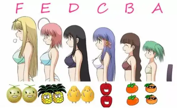 胸大胸小谁烦恼世界女性胸部大小排名