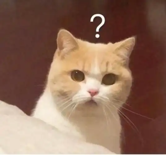 一些问号小猫表情包可爱又实用存