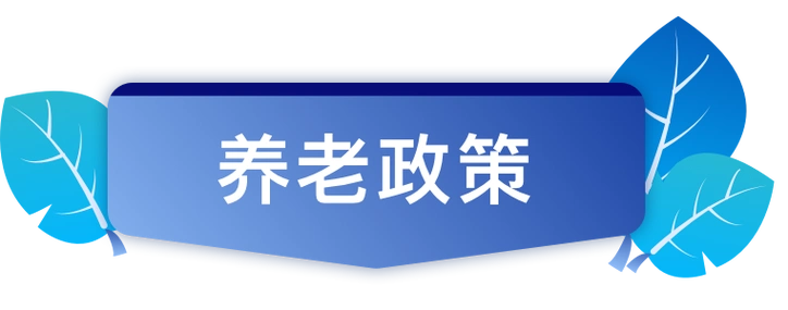 养老政策