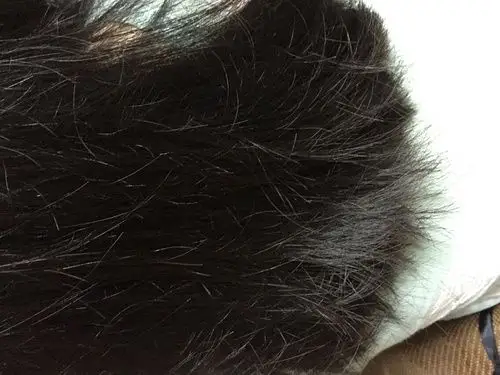 妹子们是否受到头发干燥,分叉,尤其是烫染之后头发损伤的烦恼!