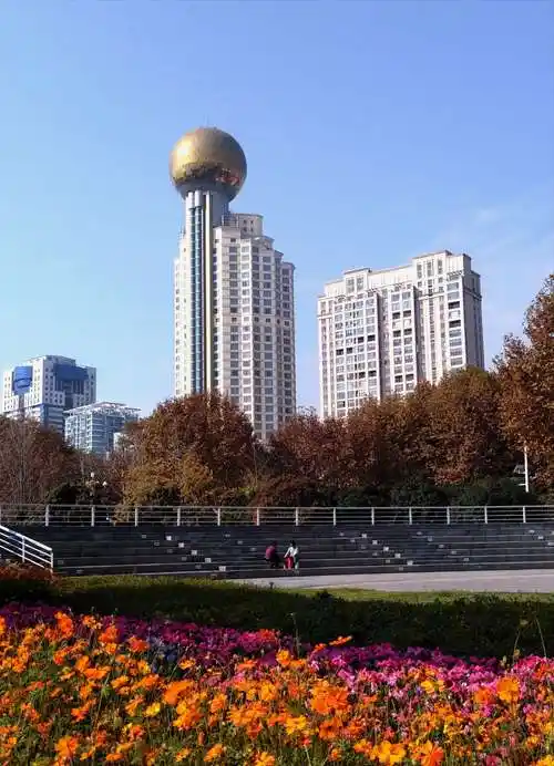 珞珈山街秋叶增彩