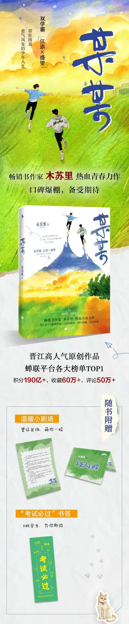 某某小说书木苏里热血青春力作书青春都市现代校园言情小说