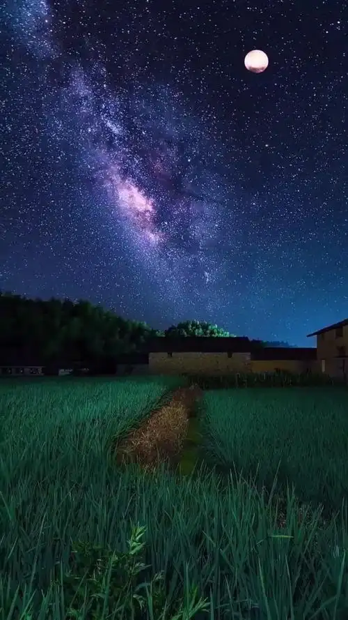 田园夜色送你美丽星空