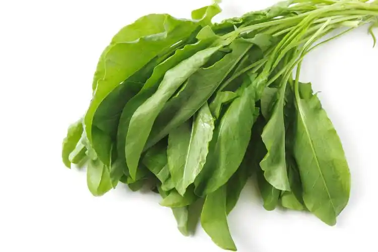 农作物蔬菜图片