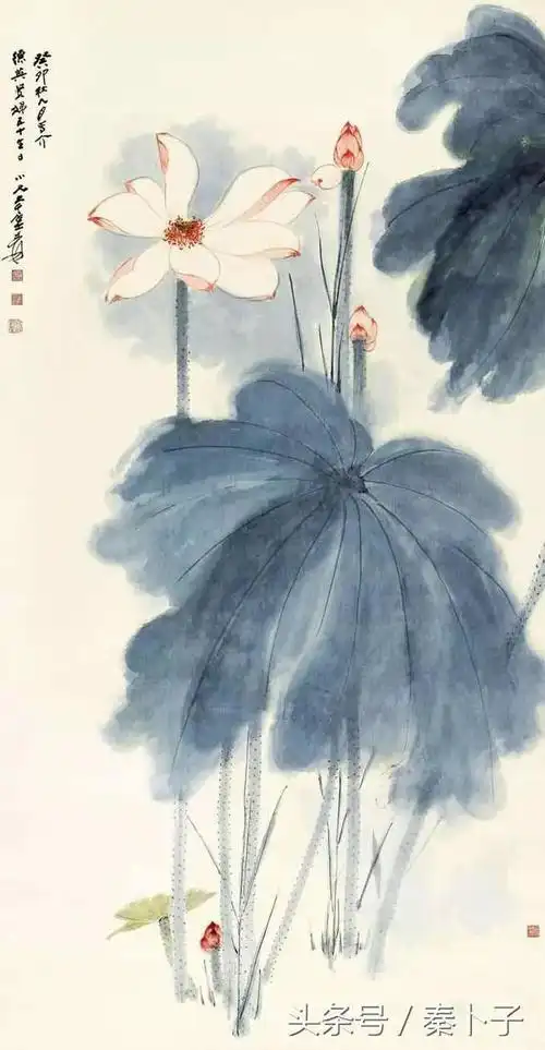 秦卜子映日荷花别样红张大千画作