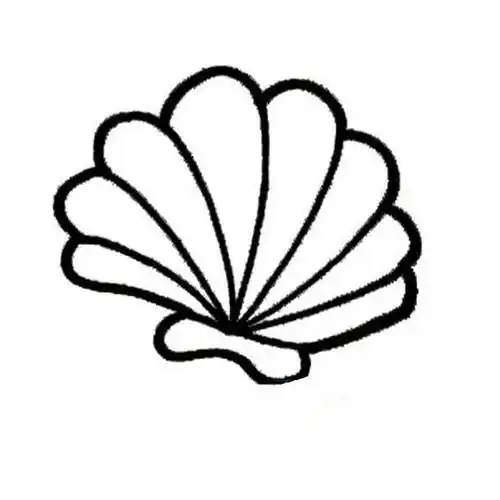 幼儿画海边的贝壳简笔画可爱卡通贝壳图片简笔画图片大全图片大全