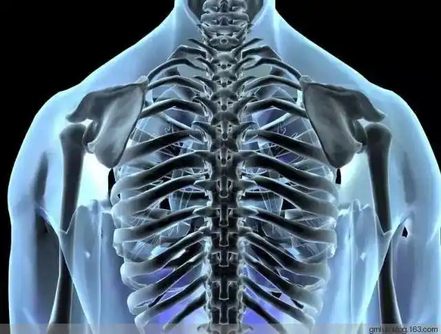 它居然可以做到透视人体器官?