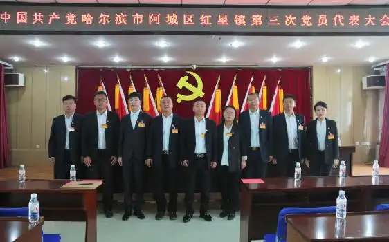 哈尔滨市阿城区圆满完成乡镇党委换届工作