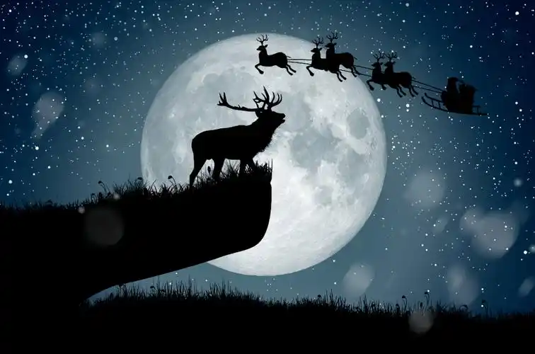 9元/人的上海圣诞狂欢趴】森林迷宫探宝,雪球大战,麋鹿赛跑,圣诞老人