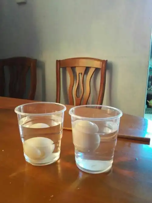 鸡蛋浮起来了 十八小一(3)班,彭韵霖