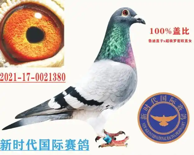 盖比"鲁迪"直子x"超级罗密欧"直女