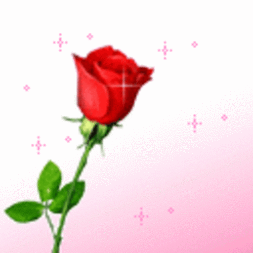 最美动态玫瑰送给你