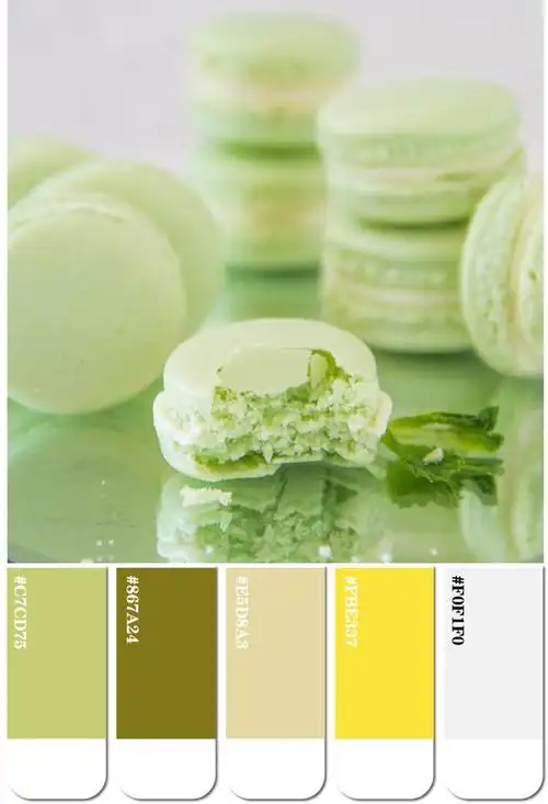 年度色彩| 2023年度最美的十个绿色配色