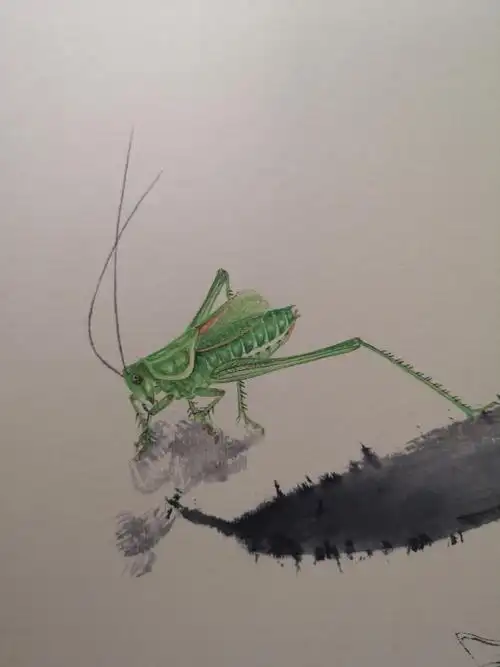 虫草名家赵炳仁昆虫花鸟画