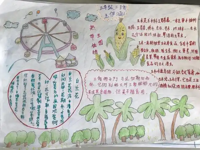 我的研学小收获—记海阳小学三年级二班集发研学活动手抄报活动