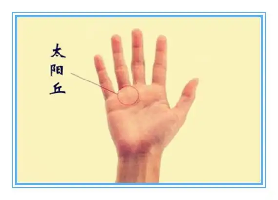 3,无名指下方的"太阳丘"