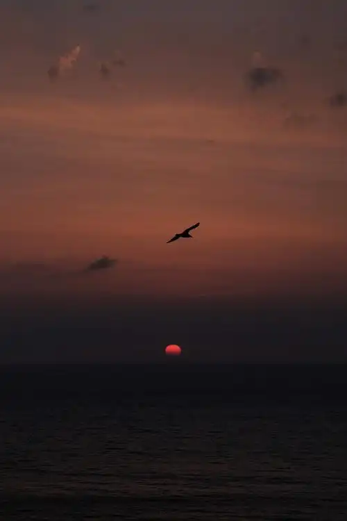 "有一天,我看了四十四次日落.