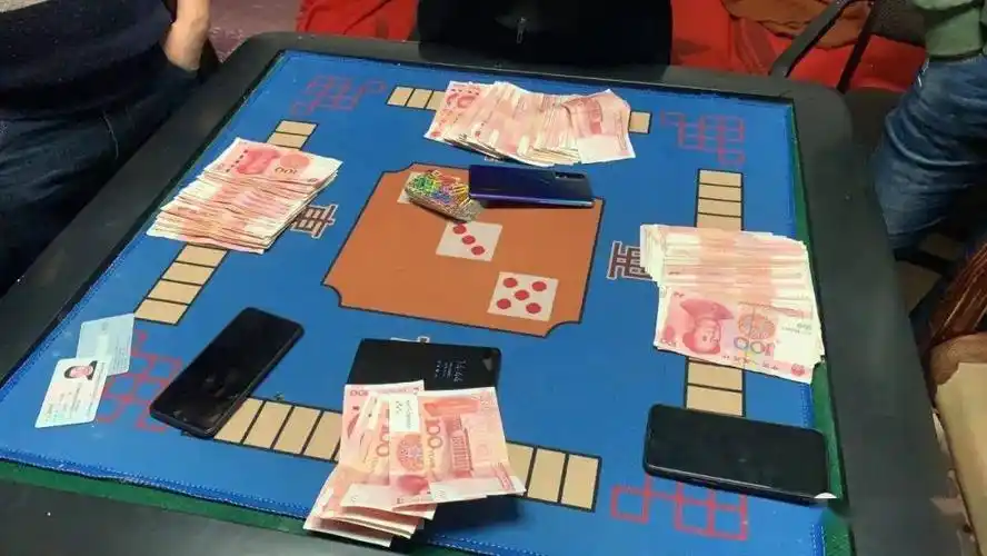 吉首市公安局成功捣毁一赌博窝点现场抓获违法人员14名