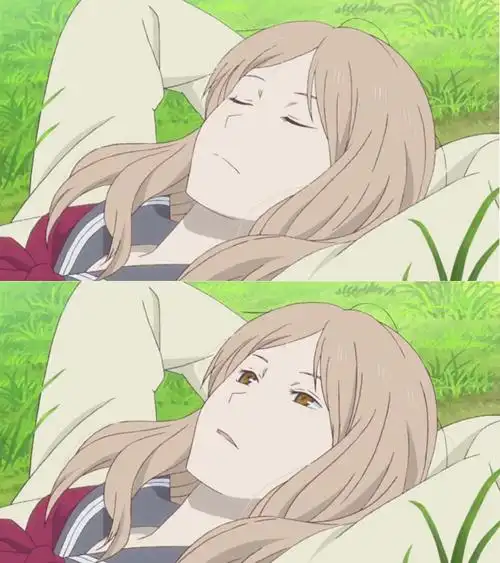 夏目友人帐赞评论1更多