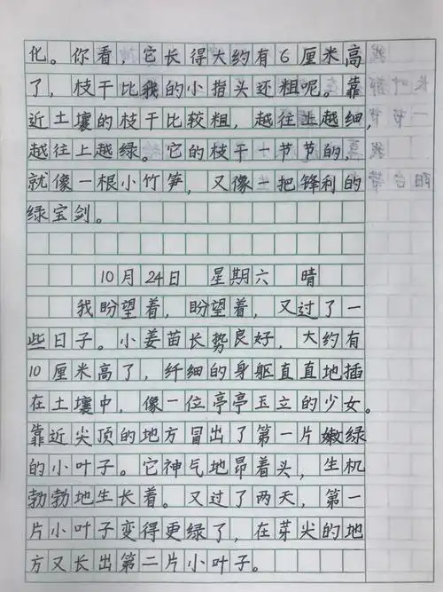 四(上)第三单元习作——写观察日记