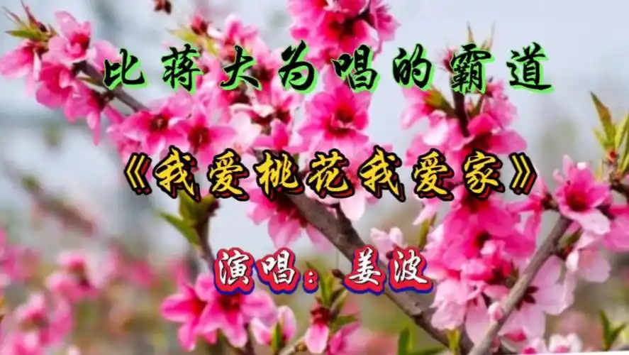 豆腐哥姜波演唱的《我爱桃花我爱家》.