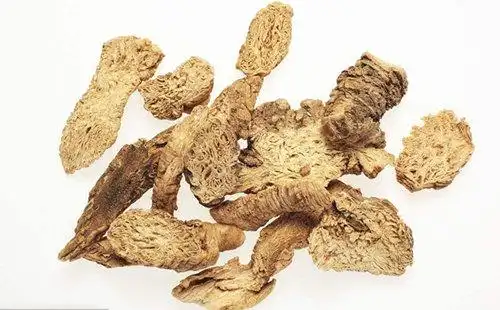 南沙参的作用与功效及禁忌